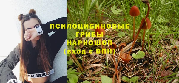 ГАЛЛЮЦИНОГЕННЫЕ ГРИБЫ Баксан