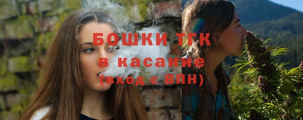 ПСИЛОЦИБИНОВЫЕ ГРИБЫ Няндома